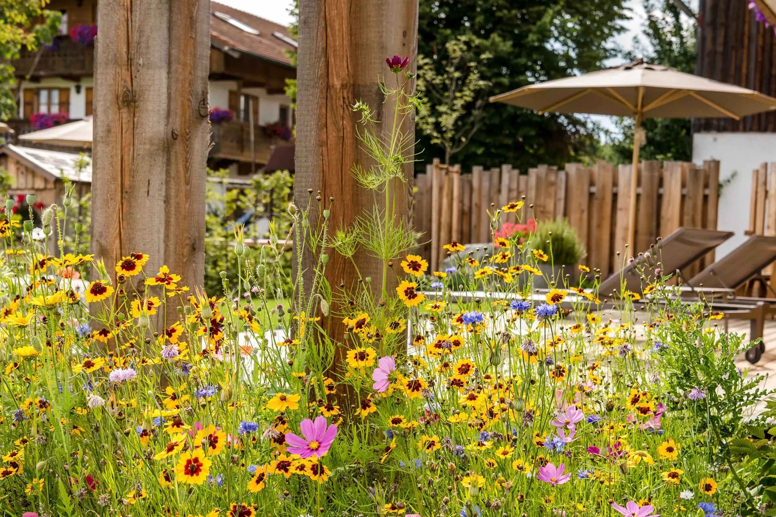 Share for Real_Hussnhof_Blumenwiese vor dem Hotel